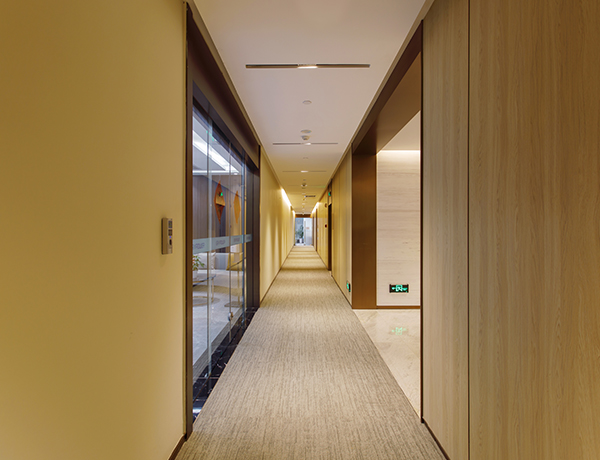 4.5 ملی میٹر فائر ریٹارڈنٹ بورڈ